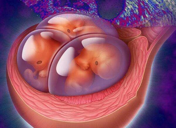 美国试管婴儿医院成功率影响因素分析