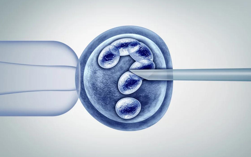 胎儿性别预测图