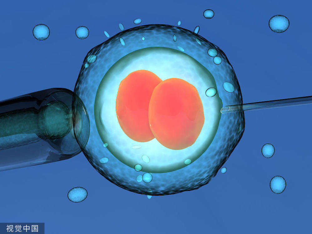 肥胖对女性生育力的影响