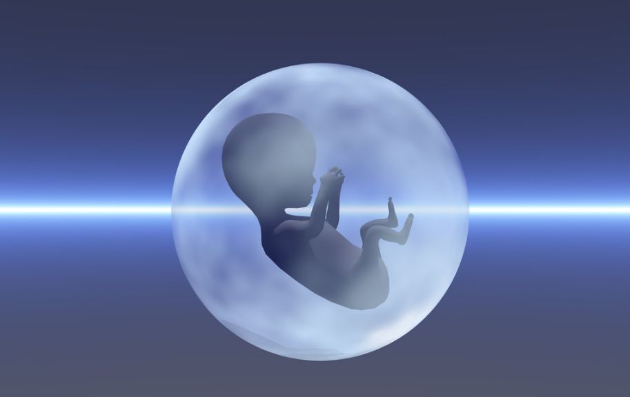 胎儿发育指标 超声检查评估