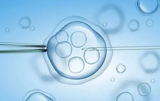 胎儿亲子鉴定技术应用