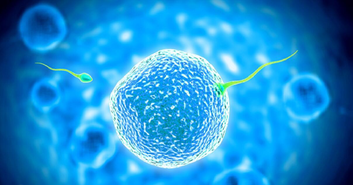 胎儿发育指标 推算预产期方法