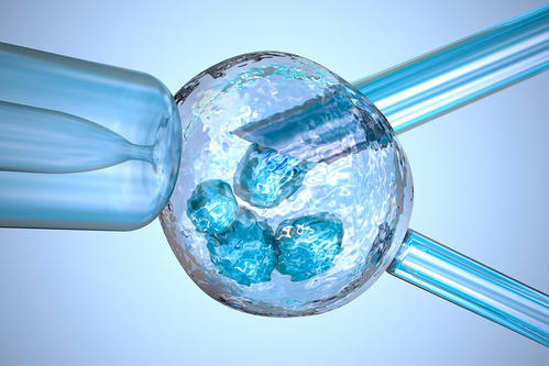 肾移植免疫抑制剂的优化策略