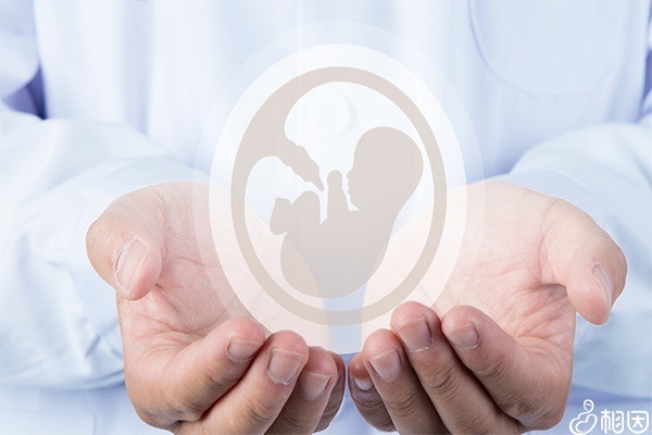 联想词：多囊卵巢综合征