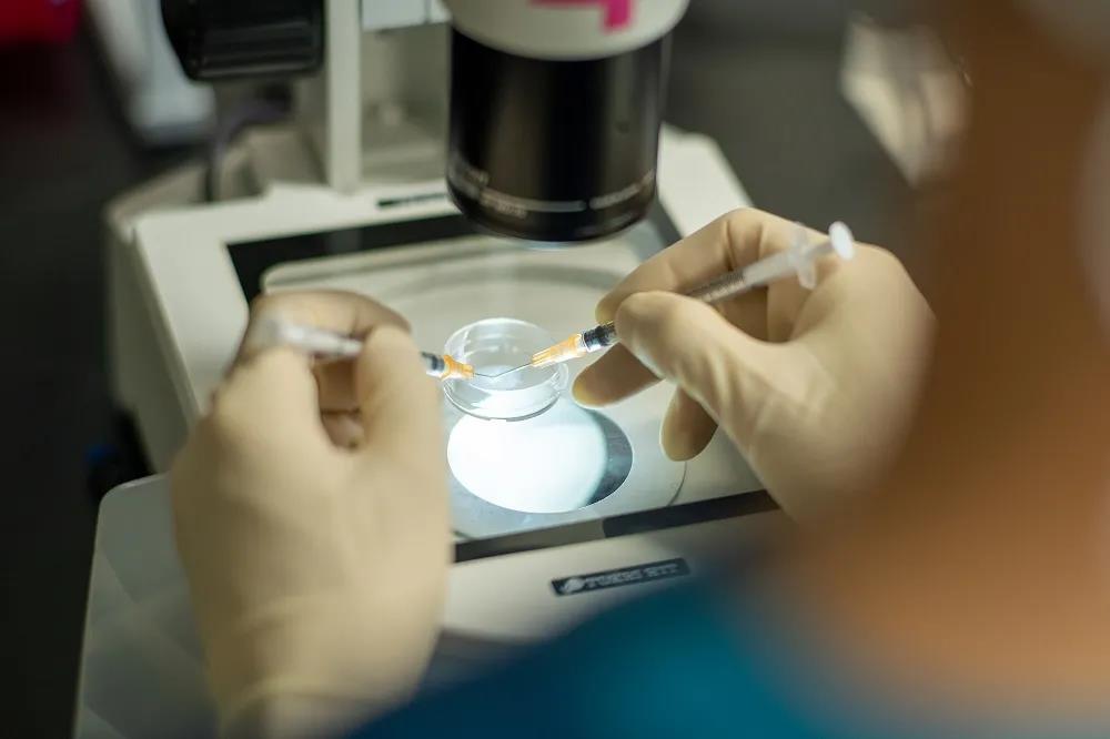 美国试管婴儿技术伦理探讨