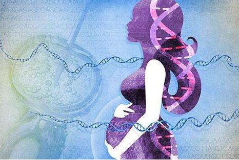 美国试管婴儿费用解析与医疗服务流程