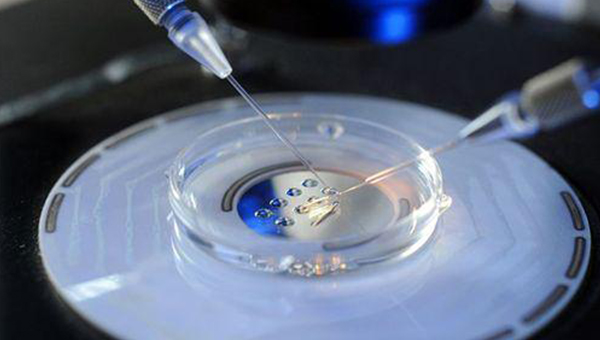 胎儿基因鉴定技术伦理探讨